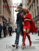 Big Bad Wolf of Wall Street (eBook, ePUB)