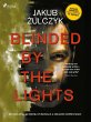 Blinded by the Lights (eBook, ePUB) - Bild 1