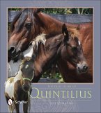 The True Story of Quintilius (eBook, ePUB)