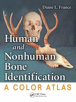Cover Human and Nonhuman Bone Identification (eBook, ePUB)