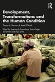 Development, Transformations and the Human Condition (eBook, PDF) Development, Transformations and the Human Condition (eBook, PDF)