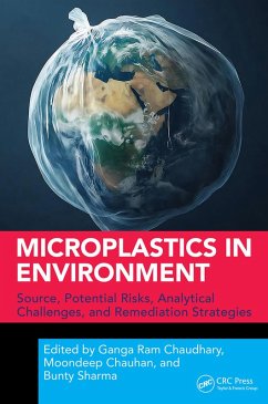 Microplastics in Environment (eBook, PDF)