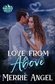 Love From Above (Pinevale Valley, #5) (eBook, ePUB)