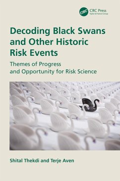 Cover Decoding Black Swans and Other Historic Risk Events (eBook, ePUB)