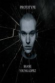 Prototype (eBook, ePUB)