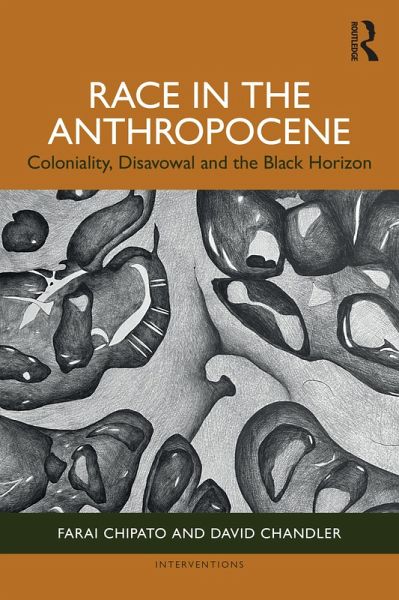 Race in the Anthropocene (eBook, ePUB)