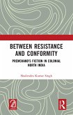 Between Resistance and Conformity (eBook, PDF) Between Resistance and Conformity (eBook, PDF)