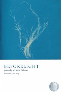 Cover Beforelight (eBook, ePUB)