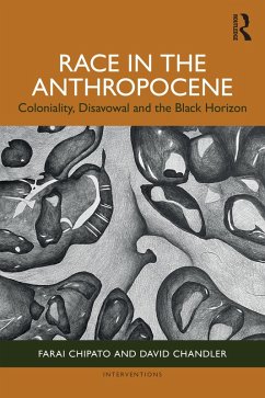 Cover Race in the Anthropocene (eBook, PDF)