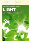 Light (eBook, ePUB) Light (eBook, ePUB)