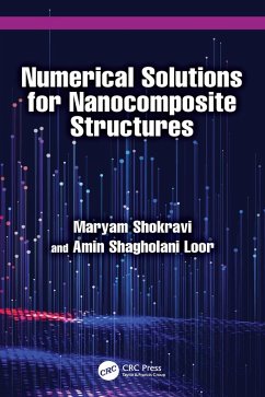 Numerical Solutions for Nanocomposite Structures (eBook, PDF) - Shokravi, Maryam; Shagholani Loor, Amin