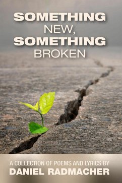 Something New, Something Broken (eBook, ePUB) - Radmacher, Daniel