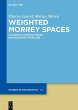 Weighted Morrey Spaces (eBook, PDF) - Bild 1
