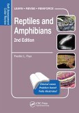 Reptiles and Amphibians (eBook, ePUB)