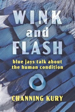 Cover Wink and Flash (eBook, ePUB)