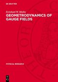 Geometrodynamics of Gauge Fields (eBook, PDF)