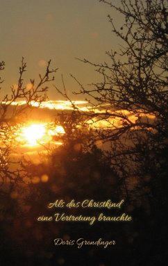 Als das Christkind eine Vertretung brauchte (eBook, ePUB) - Grondinger, Doris