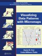 Visualizing Data Patterns with... - Bild 1