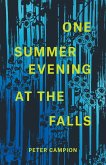 One Summer Evening at the Falls (eBook, ePUB)