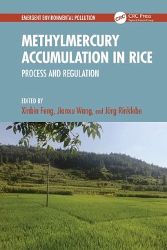 Cover Methylmercury Accumulation in Rice (eBook, ePUB)