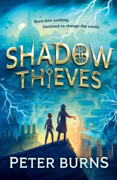 Shadow Thieves (eBook, ePUB) - Burns, Peter