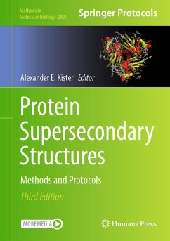 Protein Supersecondary Structures (eBook, PDF)