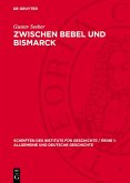 Zwischen Bebel und Bismarck (eBook, PDF)