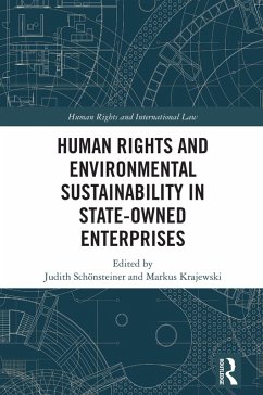 Cover Human Rights and Environmental Sustainability in State-Owned Enterprises (eBook, PDF)