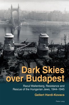 Cover Dark Skies over Budapest (eBook, PDF)