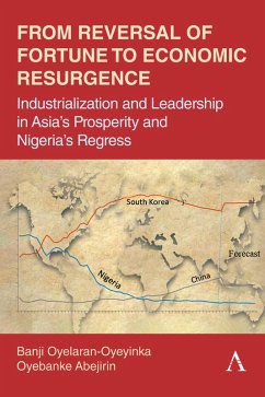Cover From Reversal of Fortune to Economic Resurgence (eBook, ePUB)