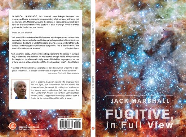 Fugitive, in Full View (eBook, ePUB)