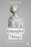 Entangled Things (eBook, PDF)