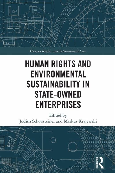 Human Rights and Environmental Sustainability in State-Owned Enterprises (eBook, ePUB)
