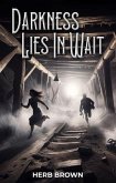 Darkness Lies In Wait (eBook, ePUB)