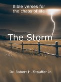 The Storm (eBook, ePUB)
