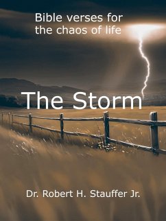 The Storm (eBook, ePUB) - Stauffer, Robert