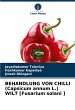 BEHANDLUNG VON CHILLI (Capsicum annum... - Bild 1