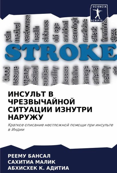 INSUL'T V ChREZVYChAJNOJ SITUACII IZNUTRI NARUZhU