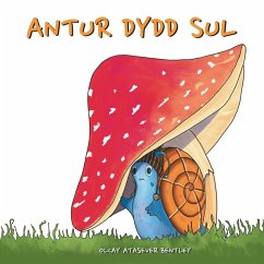 Cover ANTUR DYDD SUL
