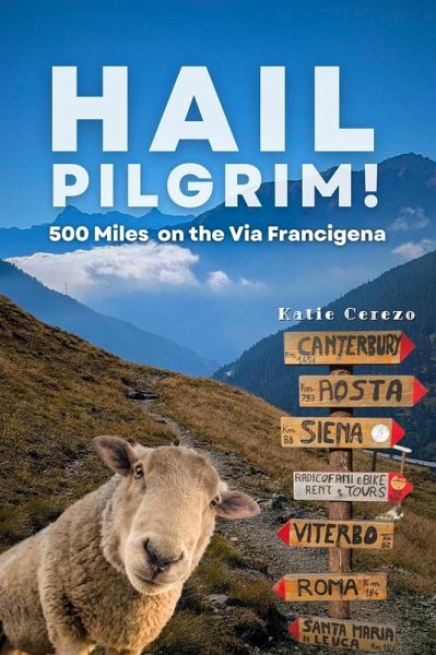 Hail Pilgrim! (eBook, ePUB)