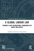 A Global Labour Law (eBook, PDF)