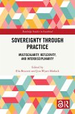 Sovereignty through Practice (eBook, ePUB)