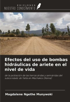 Cover Efectos del uso de bombas hidráulicas de ariete en el nivel de vida