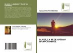 BLAKE, LA REDEMPTION D'UN CRIMINEL