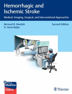Cover Hemorrhagic and Ischemic Stroke (eBook, ePUB)