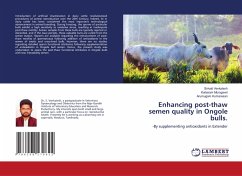 Enhancing post-thaw semen quality in Ongole bulls. - Venkatesh, Sirivati;Murugavel, Kailasam;Kumaresan, Arumugam