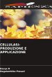 CELLULASI: PRODUZIONE E APPLICAZIONE - Bild 1