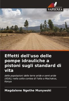 Cover Effetti dell'uso delle pompe idrauliche a pistoni sugli standard di vita