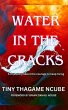 Water in the Cracks (eBook, ePUB) - Bild 1
