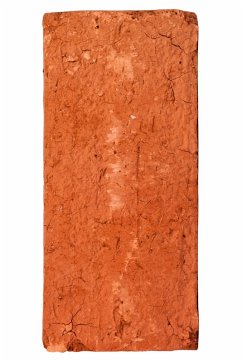 Cover Leaving the Twentieth Century (eBook, ePUB)